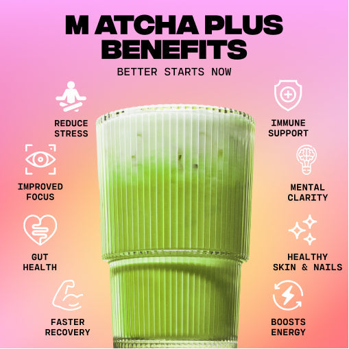 30-servings-of-mushroom-matcha-free-starter-kit-i6 1_e8b56491-7cb2-472e-ac2c-4f42e819f02f.jpg