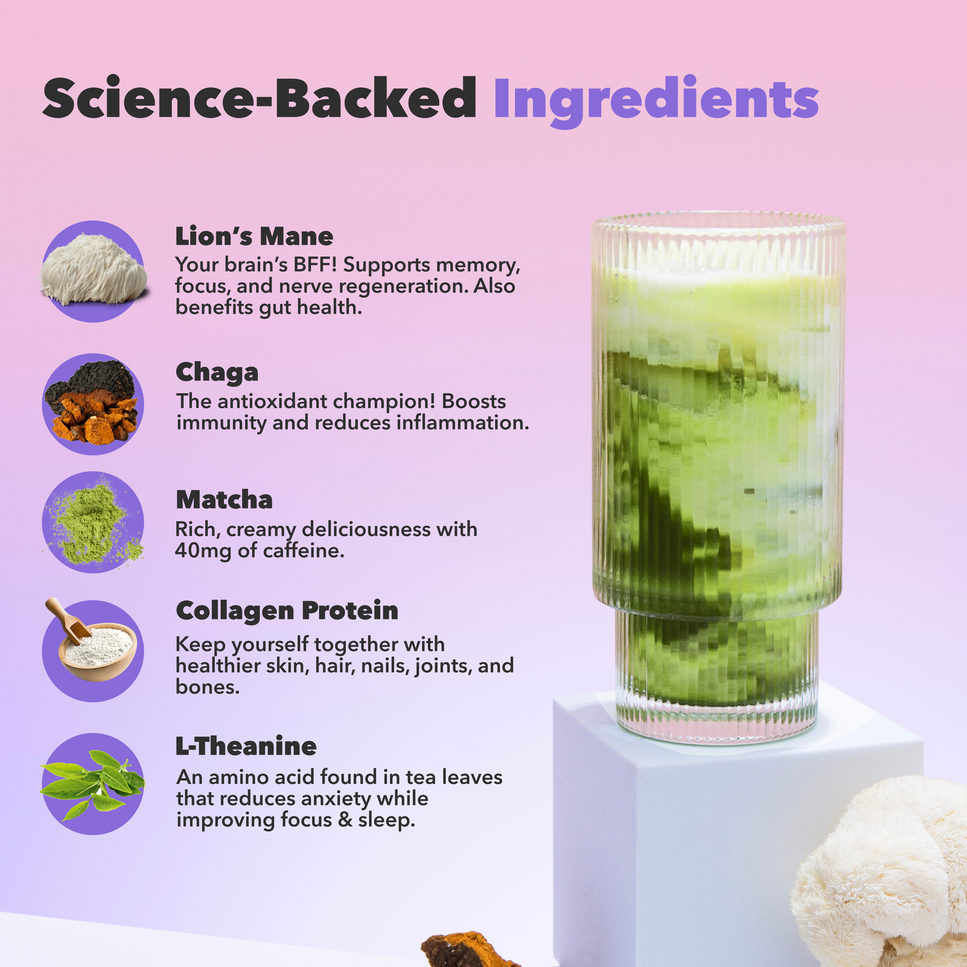90-servings-matcha-free-starter-kit-d6 custom_resized_386f63f8-0691-449c-9e51-462fed6c0033.png